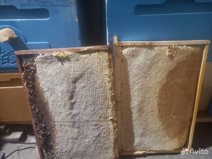 Медовые рамки