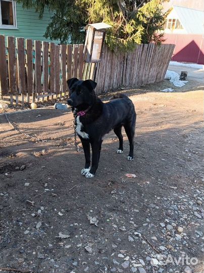 Молодой мальчик в добрые руки