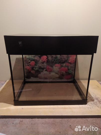 Аквариум новый