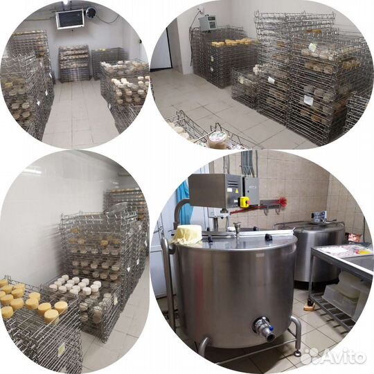 Козья ферма - Сыроварня