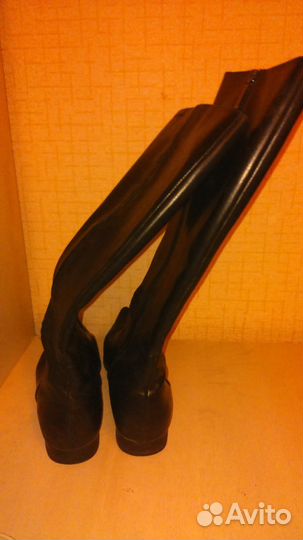 Сапоги демисезонные