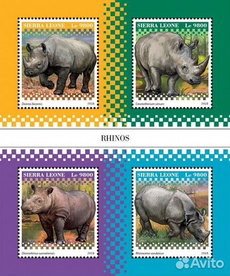 Сьерра-Леоне, 2018. (181006) Фауна, носороги (мл+б