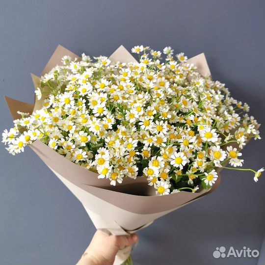 Букет цветов 111