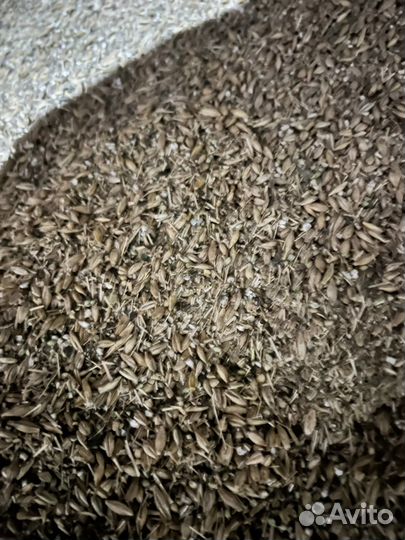 Зерноотходы чечевичные ячменные пшеничные