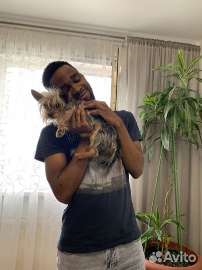 Репетитор по английскому языку (носитель)