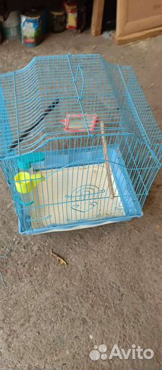 Клетка для попугая или грызуна
