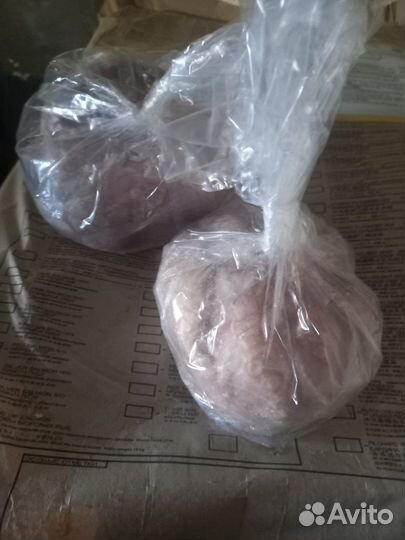 Осьминог (целый) 1-2кг