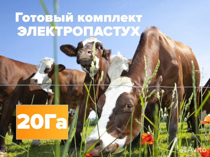 Комплект электропастух 20 Га