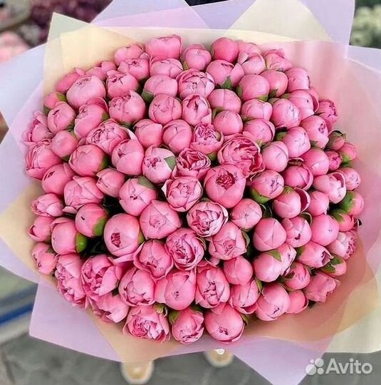 Пионы Букет пионов