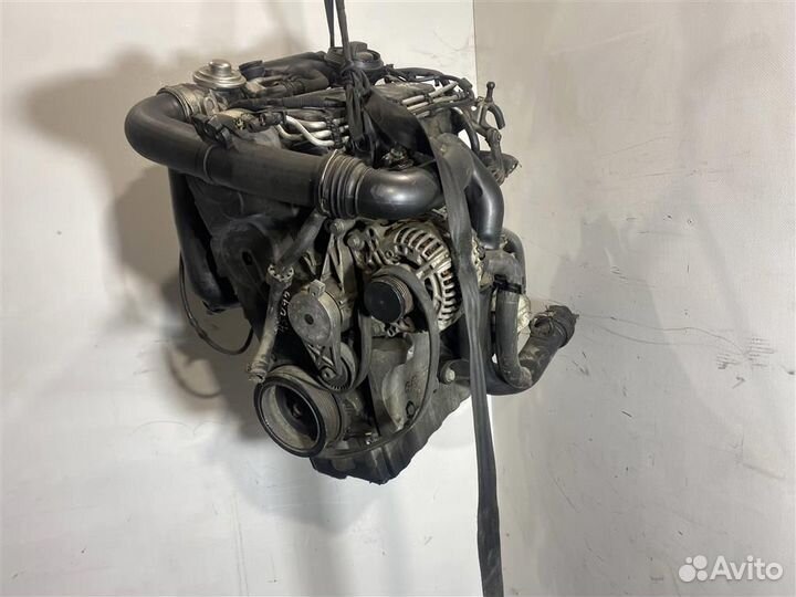 Двигатель BXE Volkswagen Passat B6 1.9 TDI