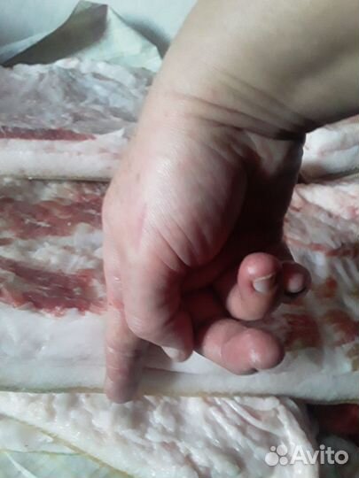 Сало свежее