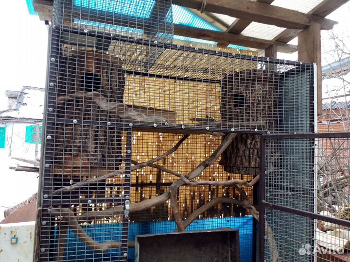 Клетка для белки