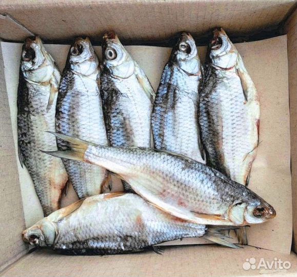 Астраханская воблы вяленая