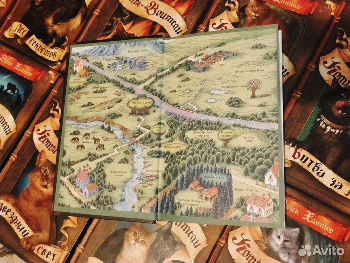 Коты-воители книги