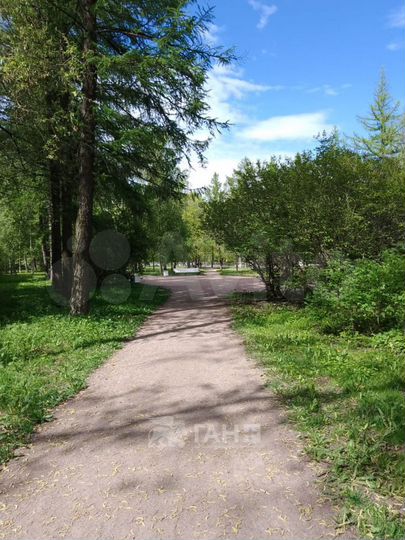 Комната 24 м² в 5-к., 1/4 эт.
