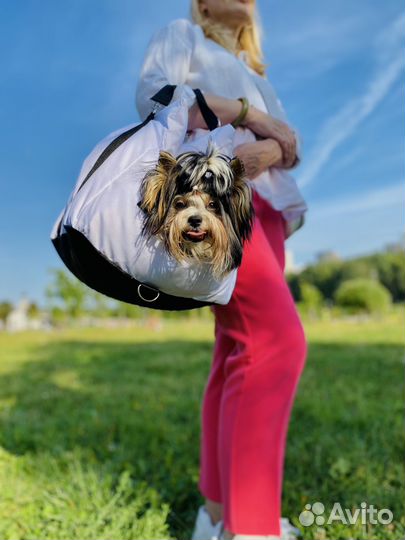 Переноска-лежанка- автокресло для питомцев