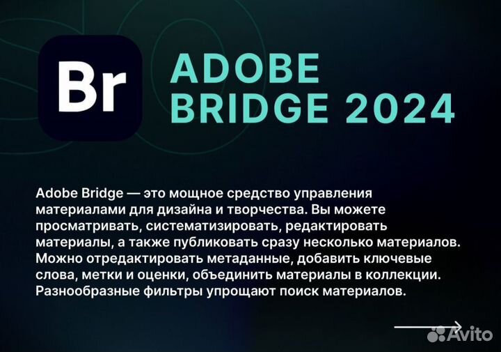 Adobe Bridge 2024. Бессрочно