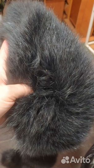 Меховой воротник