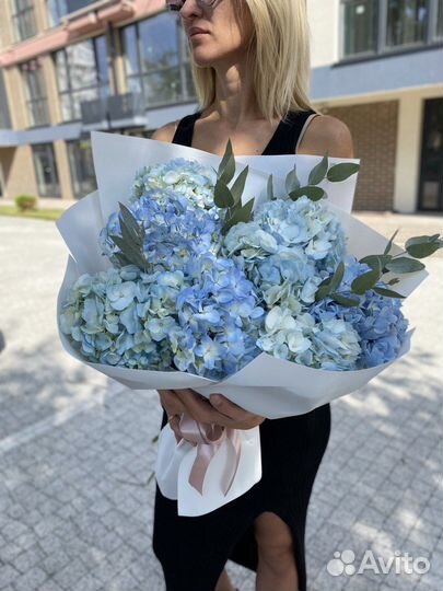 Шикарный монобукет из колумбийских гортензий