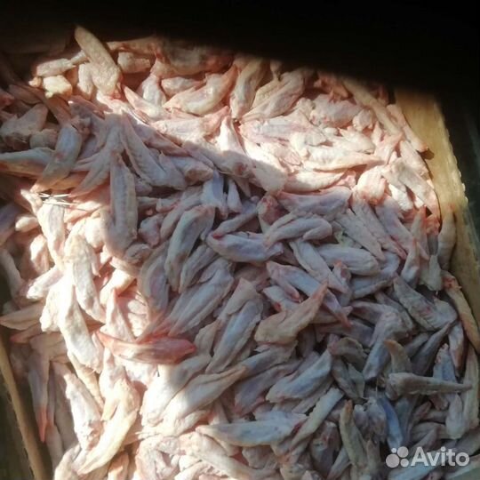 Корм для собак кошек курей