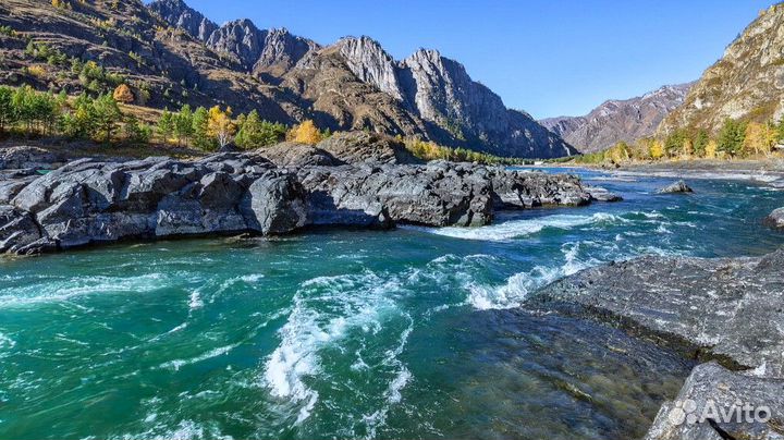 Путешествие на Алтай летом экспедиции 5-9 дн