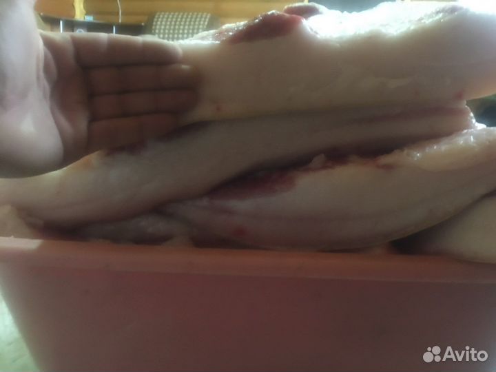 Продам сало