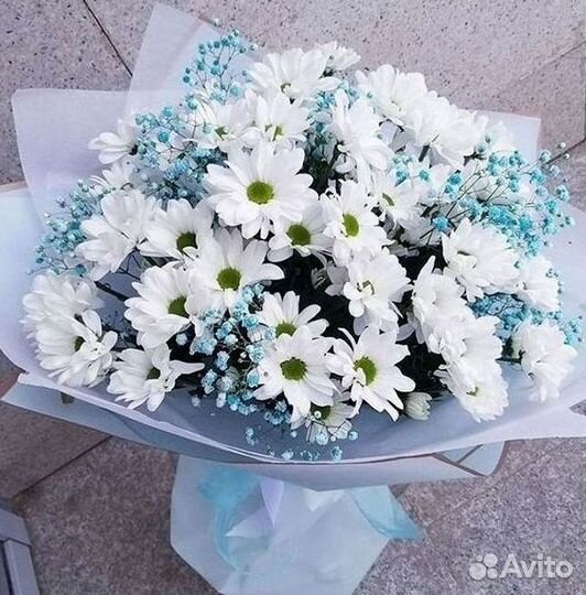 Доставка букетов и цветов. Хризантема