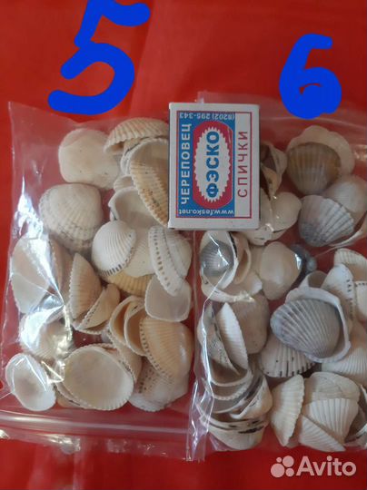 Морские ракушки и камни