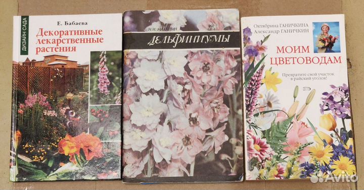 Книга Дельфиниумы, бесплатно