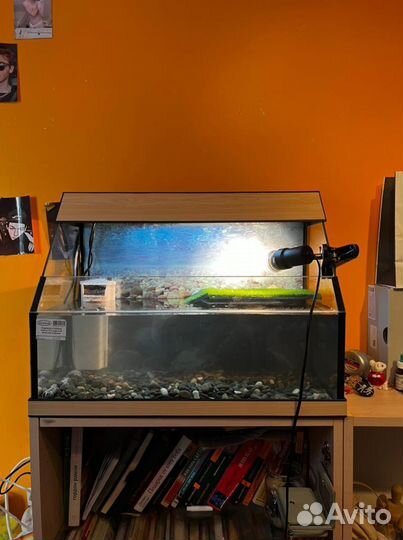 Аквариум для черепах 70л открытый новый