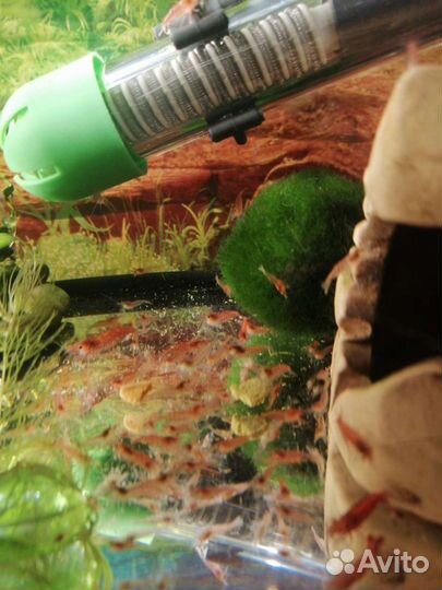 В хорошие руки с хорошим уходом