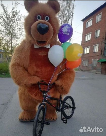 Аниматоры на день рождения мишка
