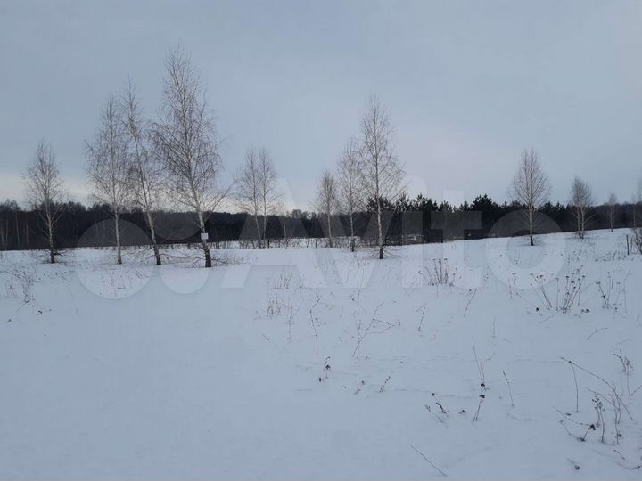 Участок 1,5 га (ИЖС)