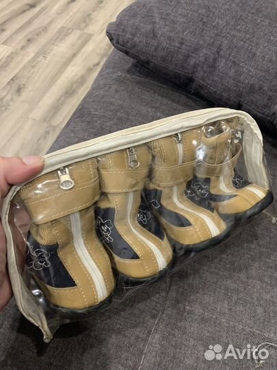 Обувь для собаки