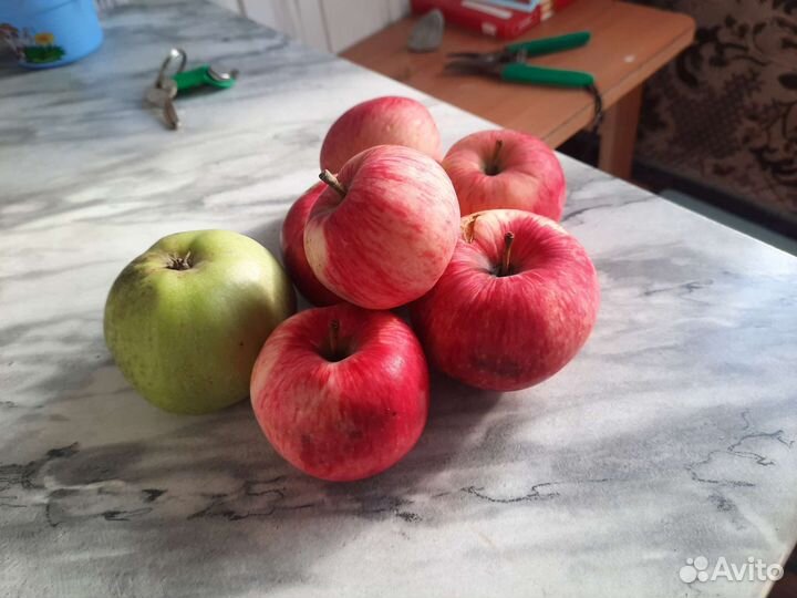 Яблоки и груши