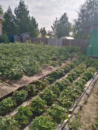 Дача 30 м² на участке 8 сот.