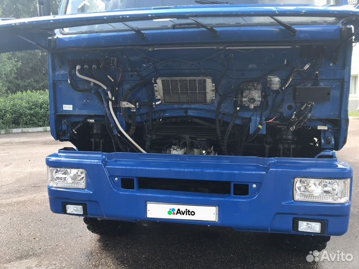 КамАЗ 43118 с КМУ, 2013