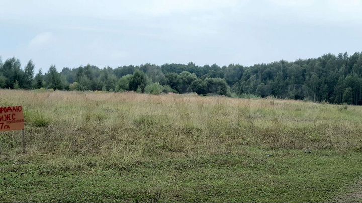 Участок 4,5 га (СНТ, ДНП)