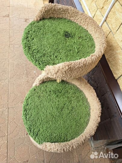 Домик для кошки с когтеточкой бу