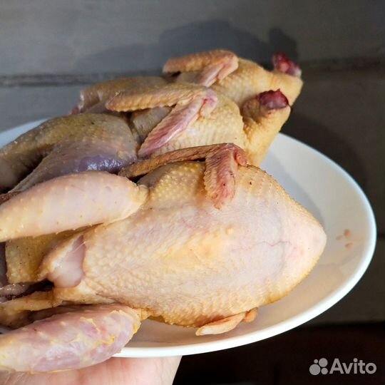 Мясо перепелов