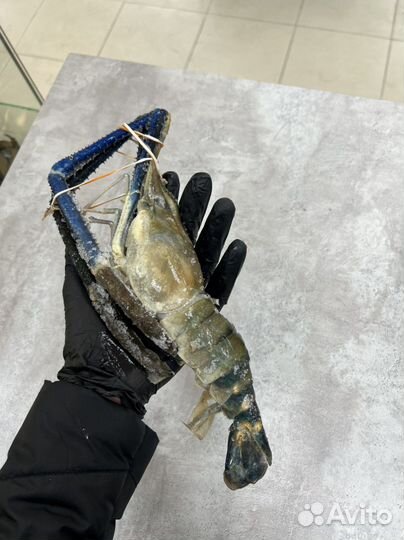 Рыба и морепродукты оптом