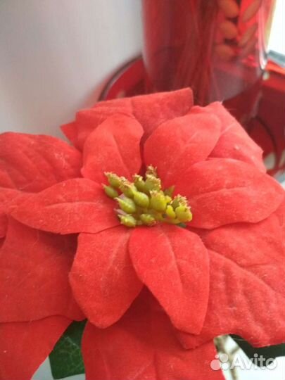 Сувенирный искусст.цветок пуасеттия