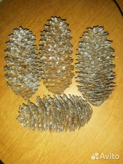 Шишки еловые