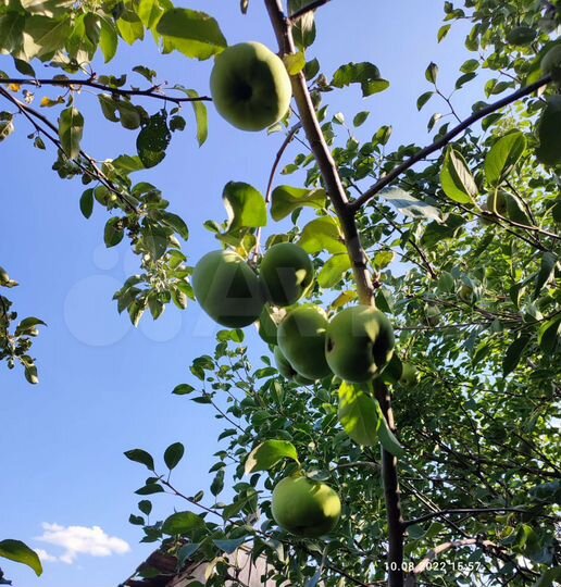 Дом 65,7 м² на участке 30 сот.