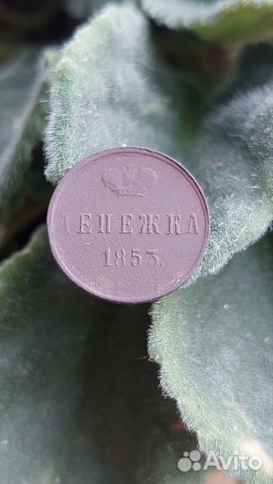 Денежка 1853 г. Николай 1