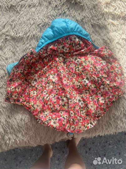 Одежда для собак мелких пород