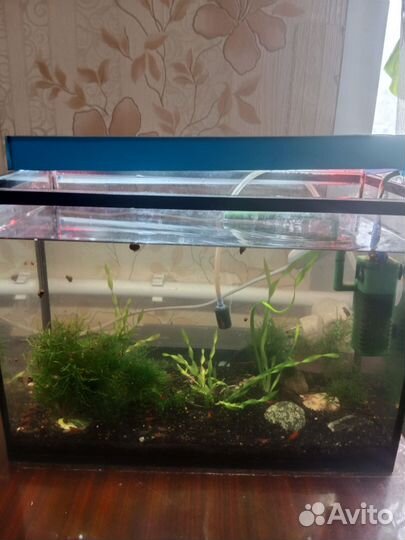 Аквариум