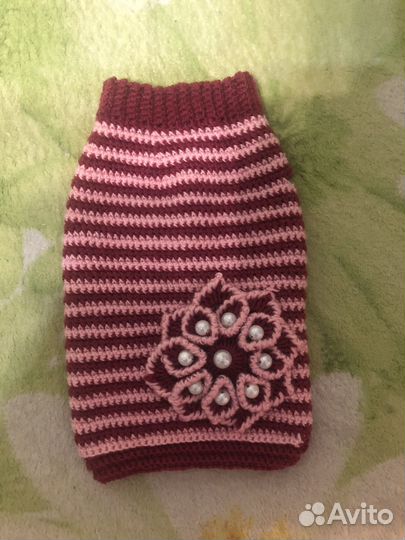 Свитер для собаки