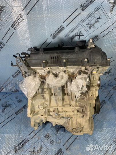 Двигатель Hyundai Creta 1.6 G4FG W554116 dohc