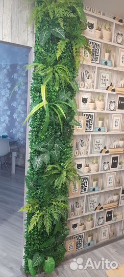 Вертикальное озеленение